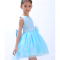 2016 indischen Stil Mädchen stieg Kleid Weste Rock Kinder Blume Party Kleid